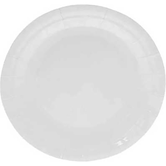 PAPER PLATE 7